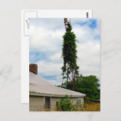 Alter Bauernhof Postkarte (Vorne/Hinten)