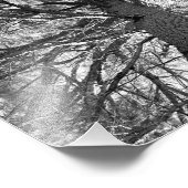 Alter Baum abziehen Fotodruck (Ecke)