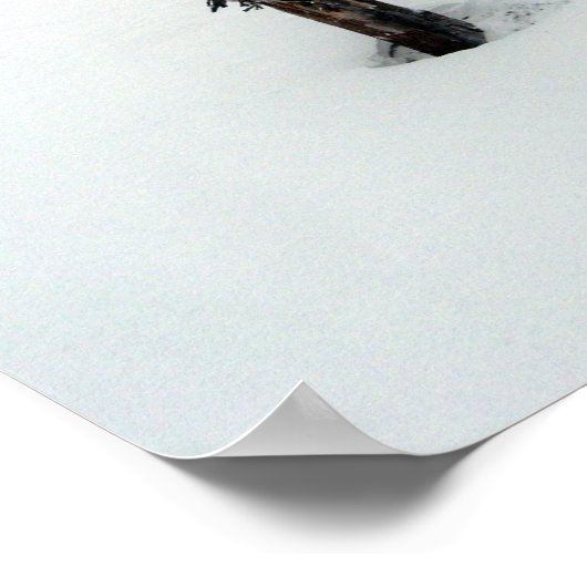 Alter Baum am Berg Bachelor Poster (Ecke)