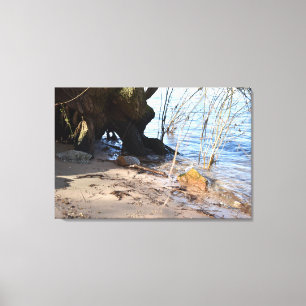 Alter Baum am Flussufer Leinwanddruck