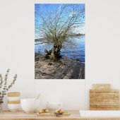 Alter Baum am Flussufer Poster (Küche)
