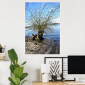 Alter Baum am Flussufer Poster (Heimbüro)