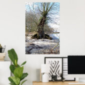 Alter Baum am Flussufer Poster (Heimbüro)