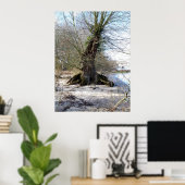 Alter Baum am Flussufer Poster (Heimbüro)