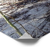 Alter Baum am Flussufer Poster (Ecke)