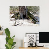 Alter Baum am Flussufer Poster (Heimbüro)