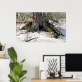 Alter Baum am Flussufer Poster (Heimbüro)