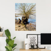 Alter Baum am Flussufer Poster (Heimbüro)