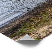 Alter Baum am Flussufer Poster (Ecke)