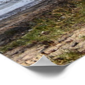 Alter Baum am Flussufer Poster (Ecke)