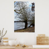 Alter Baum am Flussufer Poster (Küche)