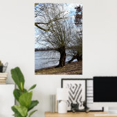 Alter Baum am Flussufer Poster (Heimbüro)