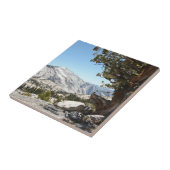 Alter Baum an Yosemite Nationalpark Fliese (Seite)