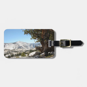 Alter Baum an Yosemite Nationalpark Gepäckanhänger