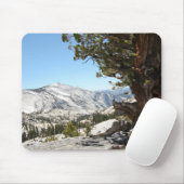 Alter Baum an Yosemite Nationalpark Mousepad (Mit Mouse)