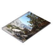 Alter Baum an Yosemite Nationalpark Notizblock (Linke Seite)