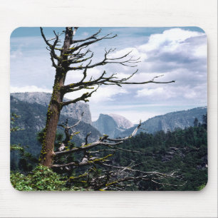 Alter Baum bei Yosemite Mousepad