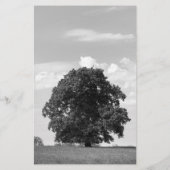 Alter Baum Briefpapier (Rückseite)