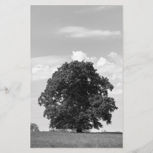 Alter Baum Briefpapier (Rückseite)