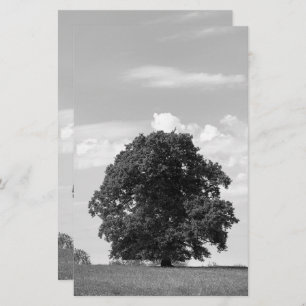 Alter Baum Briefpapier