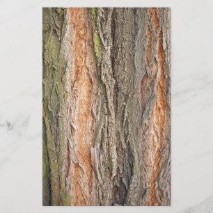 alter Baum Briefpapier