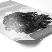 Alter Baum Fotodruck (Ecke)