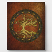 Alter Baum Fotoplatte (Vorderseite)