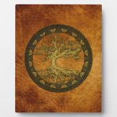 Alter Baum Fotoplatte (Vorderseite)