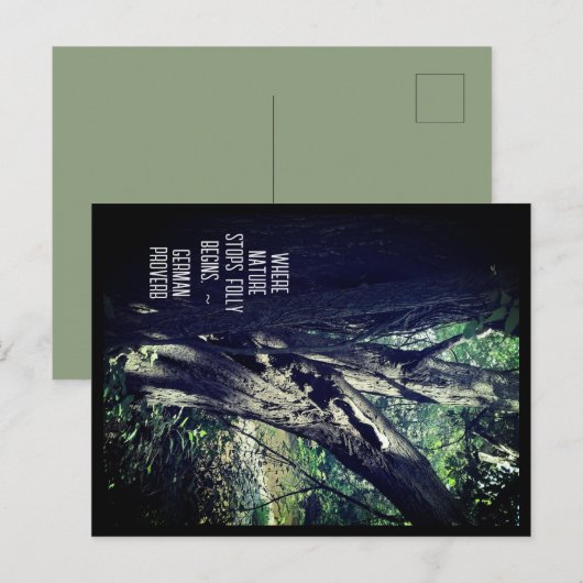 Alter Baum im Wald & deutsche Sprichwort Postkarte (Vorne/Hinten)