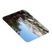 Alter Baum im Yosemite Nationalpark Magnet (Rechte Seite)