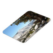 Alter Baum im Yosemite Nationalpark Magnet (Linke Seite)