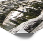 Alter Baum im Yosemite Nationalpark Poster (Ecke)