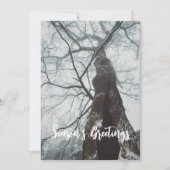 Alter Baum in einem Nebelwald Feiertagskarte (Vorderseite)