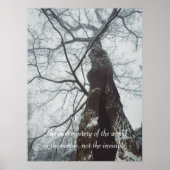 Alter Baum in einem Nebelwald Poster (Vorne)