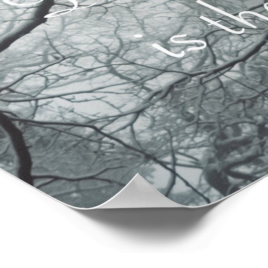 Alter Baum in einem Nebelwald Poster (Ecke)