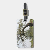 Alter Baum in Italien Gepäckanhänger (Vorderseite vertikal)