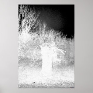 Alter Baum - negativ Poster