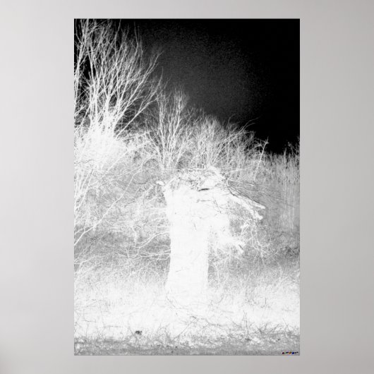 Alter Baum - negativ Poster (Vorne)