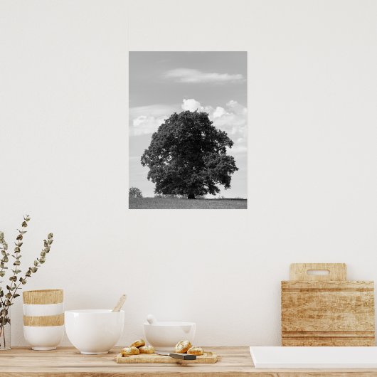 Alter Baum Poster (Küche)