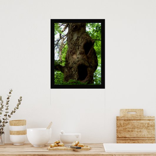 Alter Baum Poster (Küche)