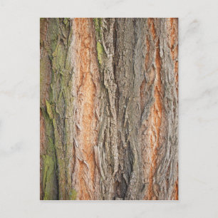 alter Baum Postkarte