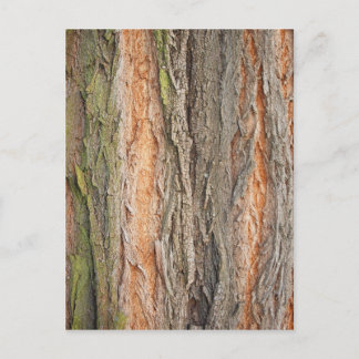 alter Baum Postkarte