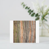 alter Baum Postkarte (Stehend Vorderseite)