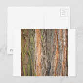 alter Baum Postkarte (Vorne/Hinten)