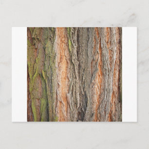 alter Baum Postkarte