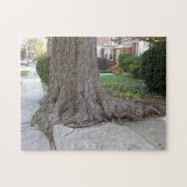 Alter Baum und Wurzeln Schaden Sidewalk JigSaw Puz Puzzle