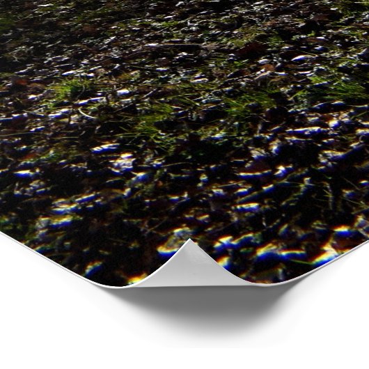 Alter Baum, Wintersonne Poster (Ecke)