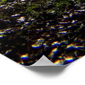 Alter Baum, Wintersonne Poster (Ecke)