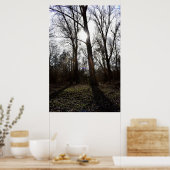 Alter Baum, Wintersonne Poster (Küche)