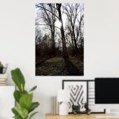 Alter Baum, Wintersonne Poster (Heimbüro)